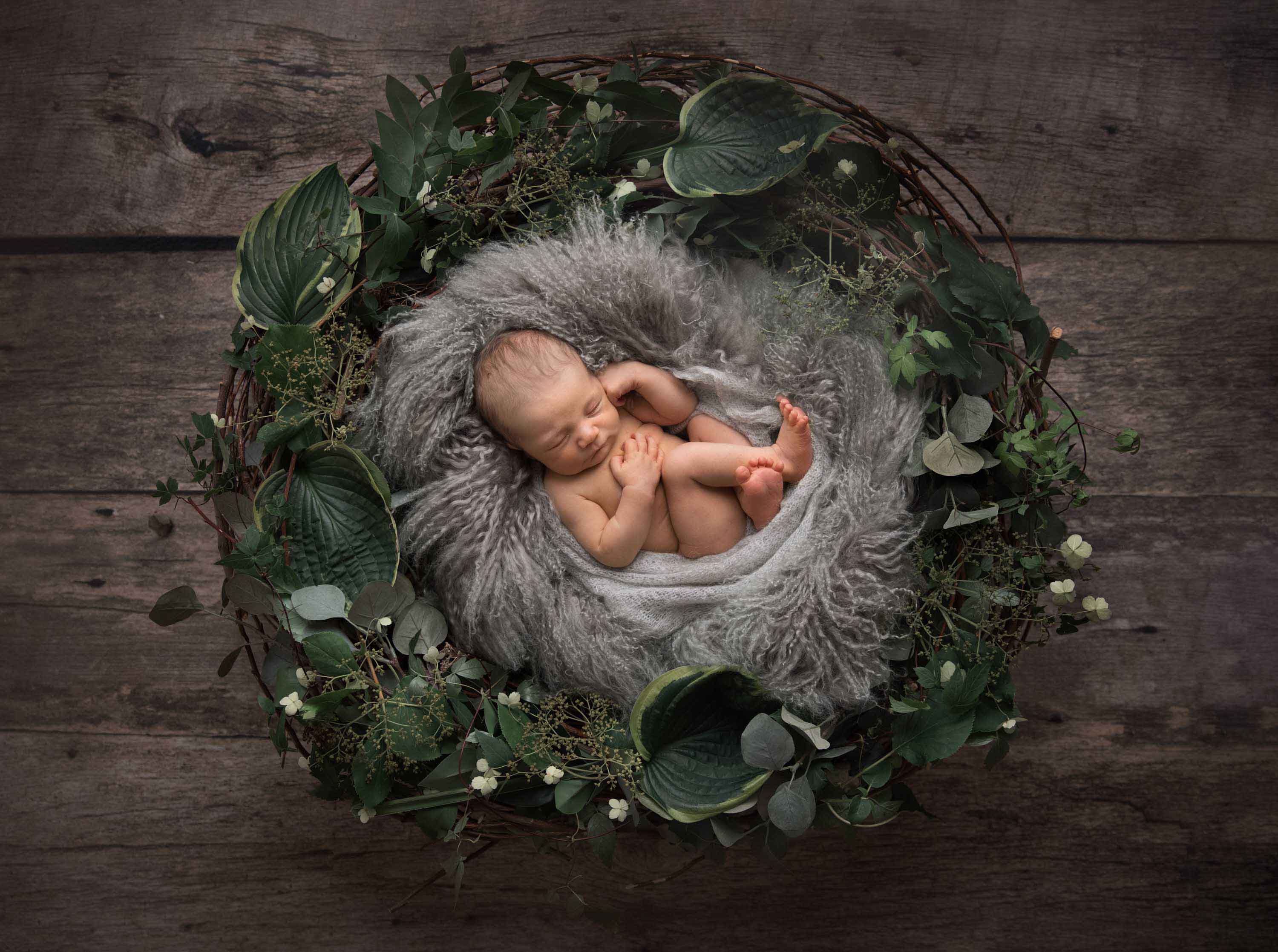 Nyfødt i kurv med grått pledd