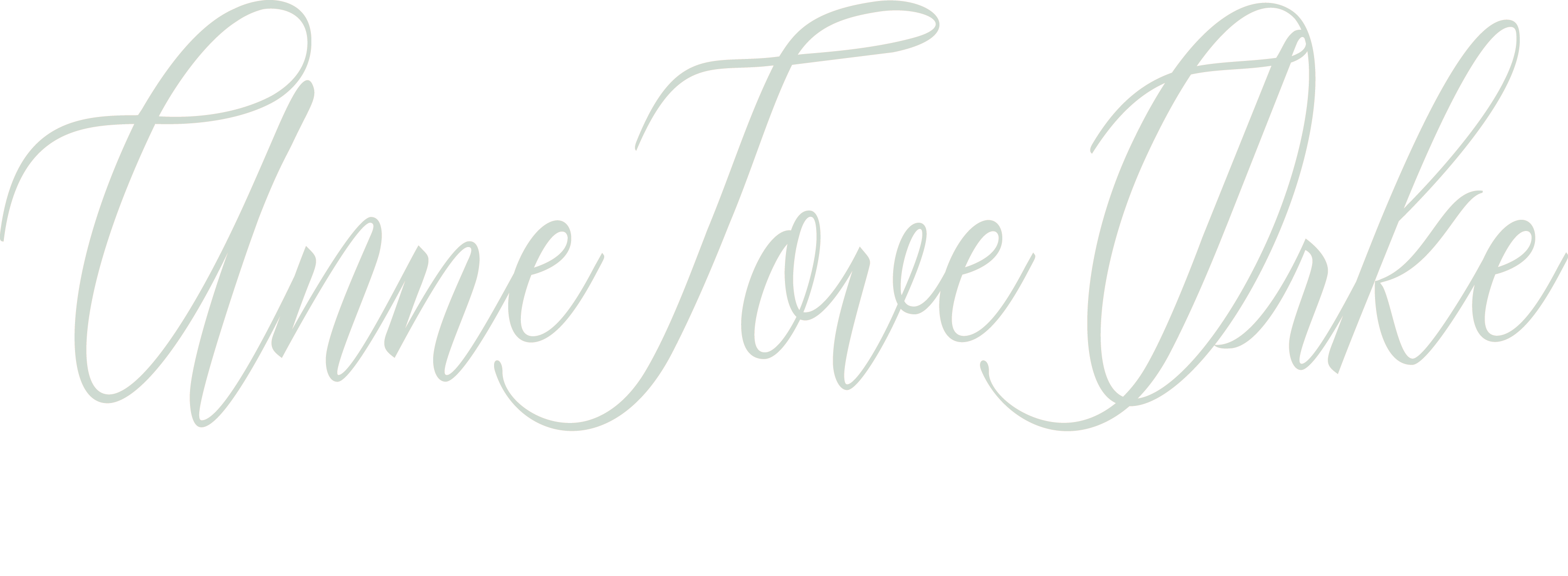Logo - Anne Tove Ørke Photography